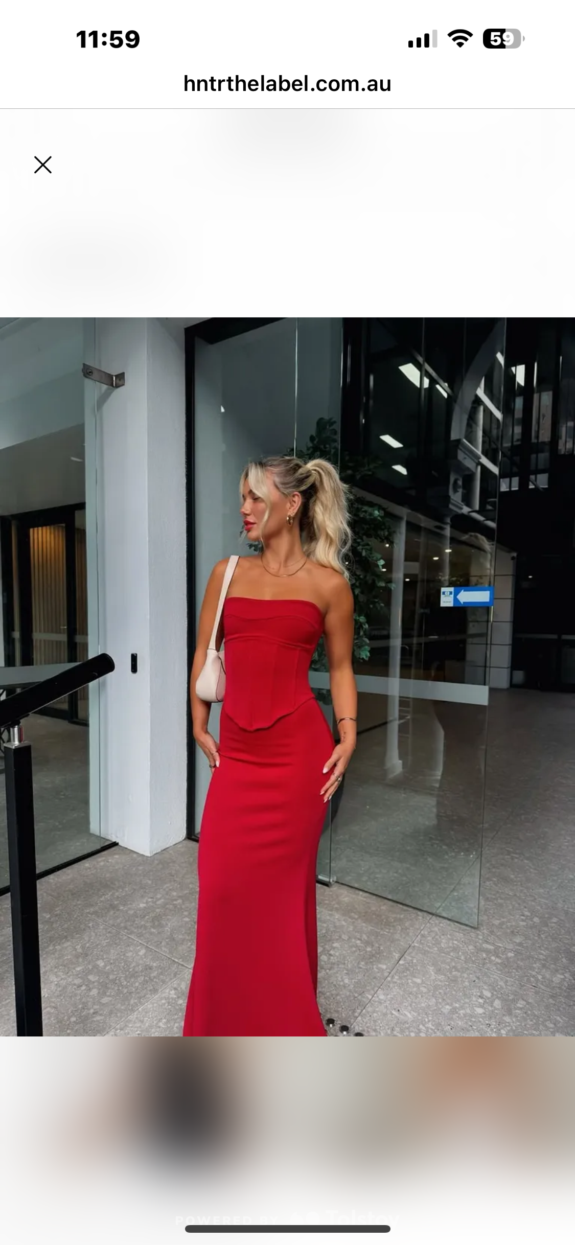 HNTR THE LABLE - LOUIE GOWN (medium)