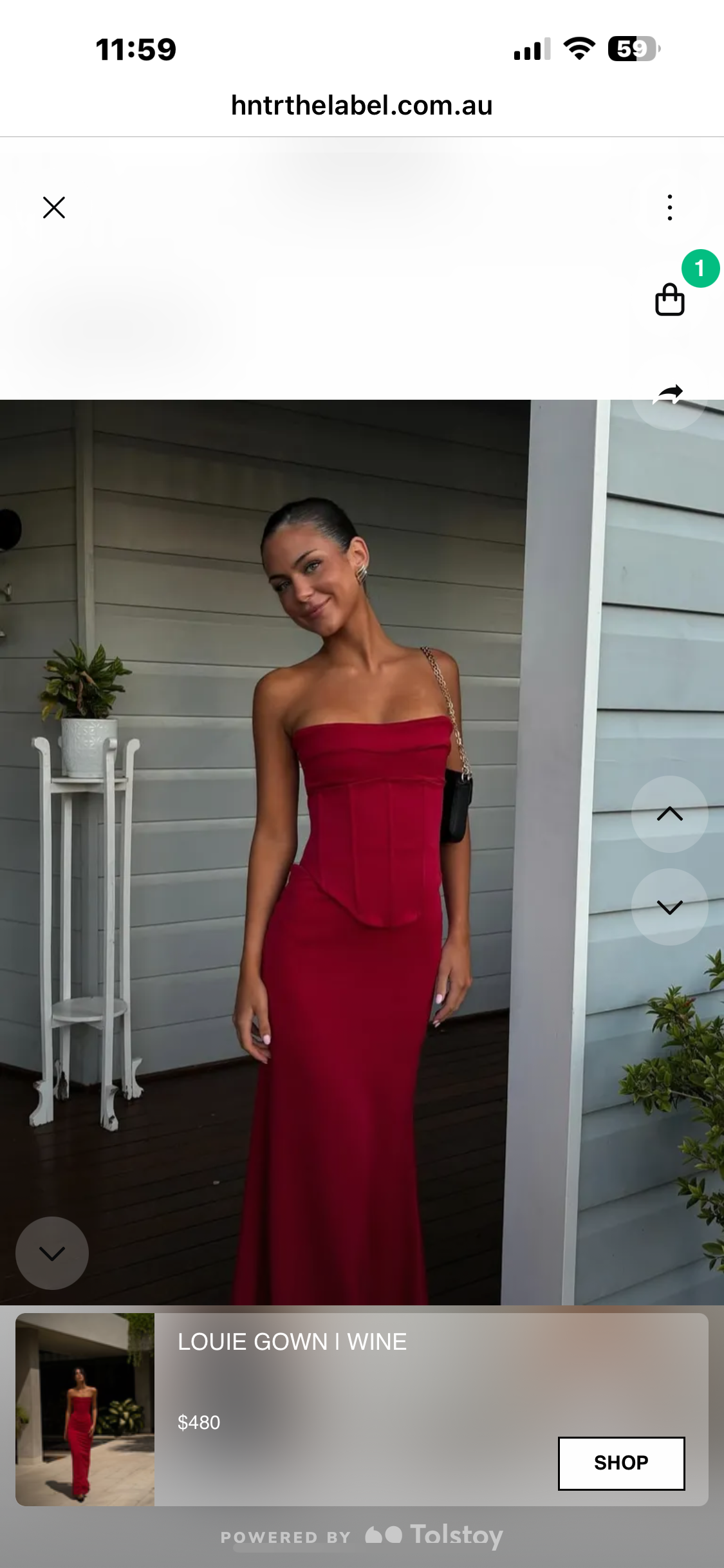 HNTR THE LABLE - LOUIE GOWN (medium)