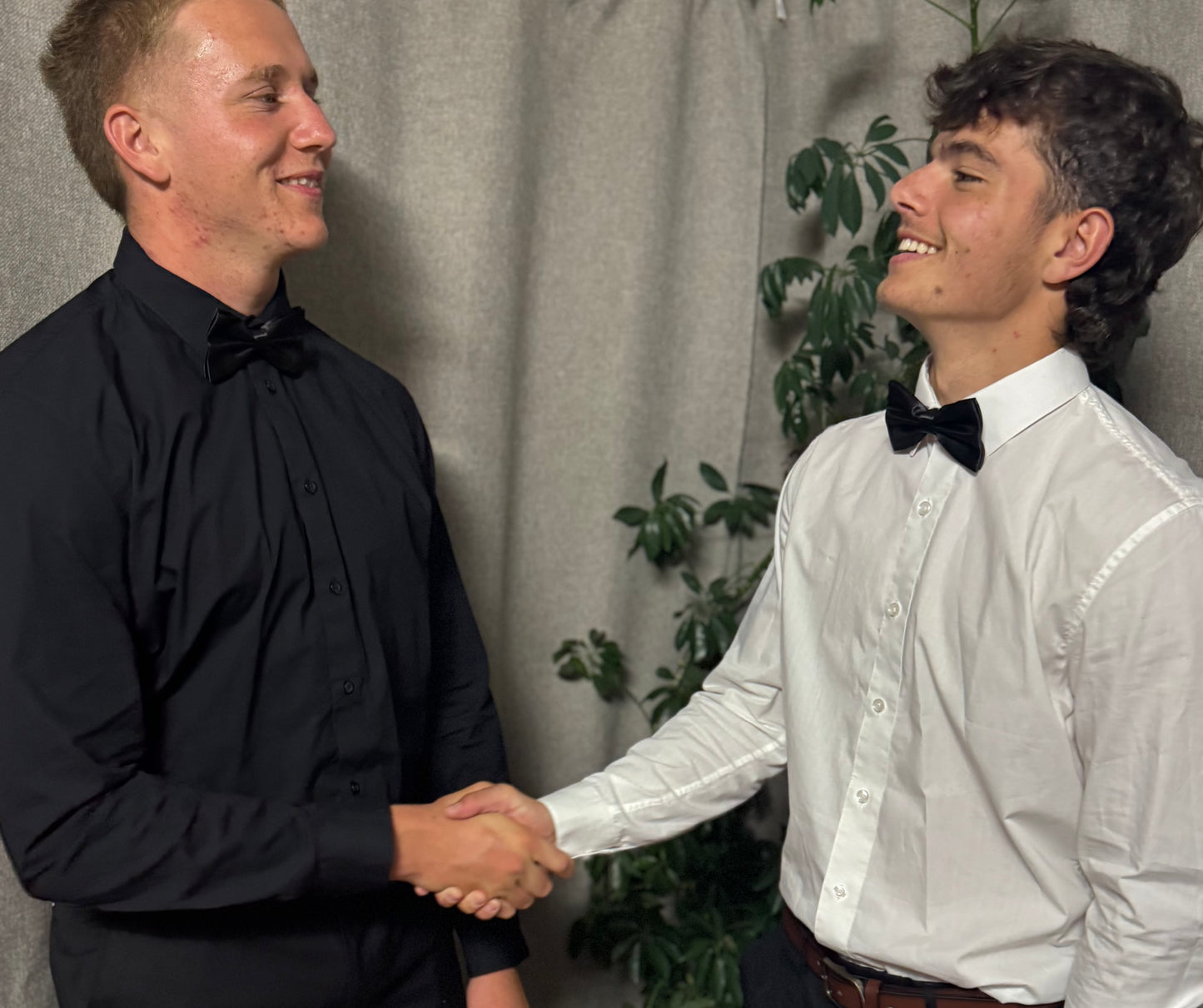 BOW TIE - BLACK