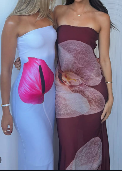HNTR THE LABLE - ALESSIA MAXI